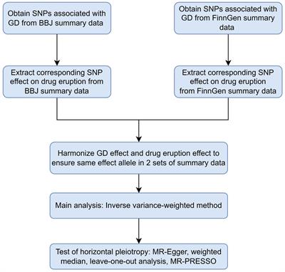 New insight into the causal relationship between Graves’ disease liability and drug eruption: a Mendelian randomization study